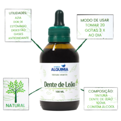 Dente De Leão Tintura Vegetal - 100 ML - comprar online