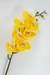 Orquídea Amarela - comprar online