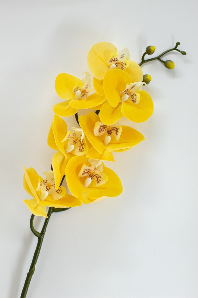Orquídea Amarela - Comprar em Mesa & Artesanato