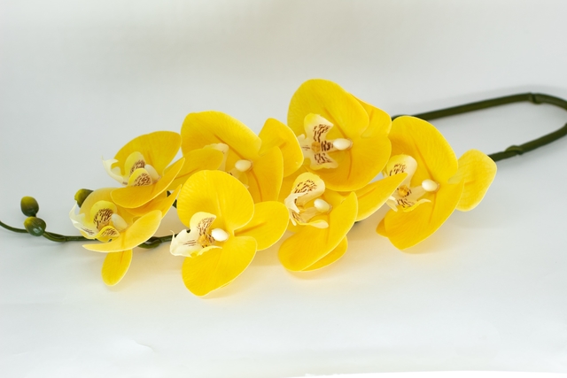 Orquídea Amarela - Comprar em Mesa & Artesanato