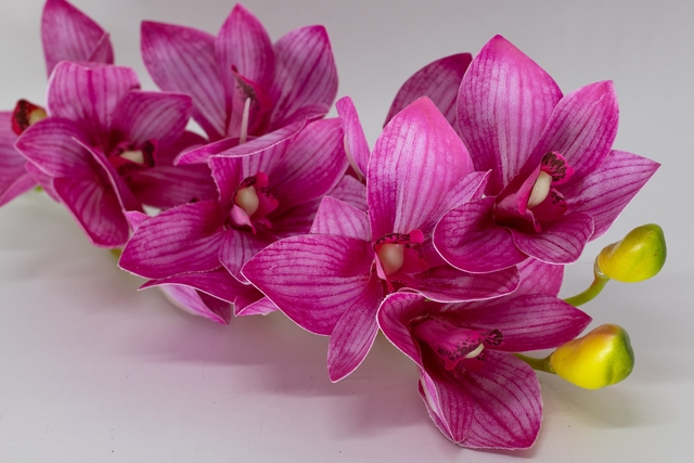 Orquídea Rosa Beauty - Comprar em Mesa & Artesanato