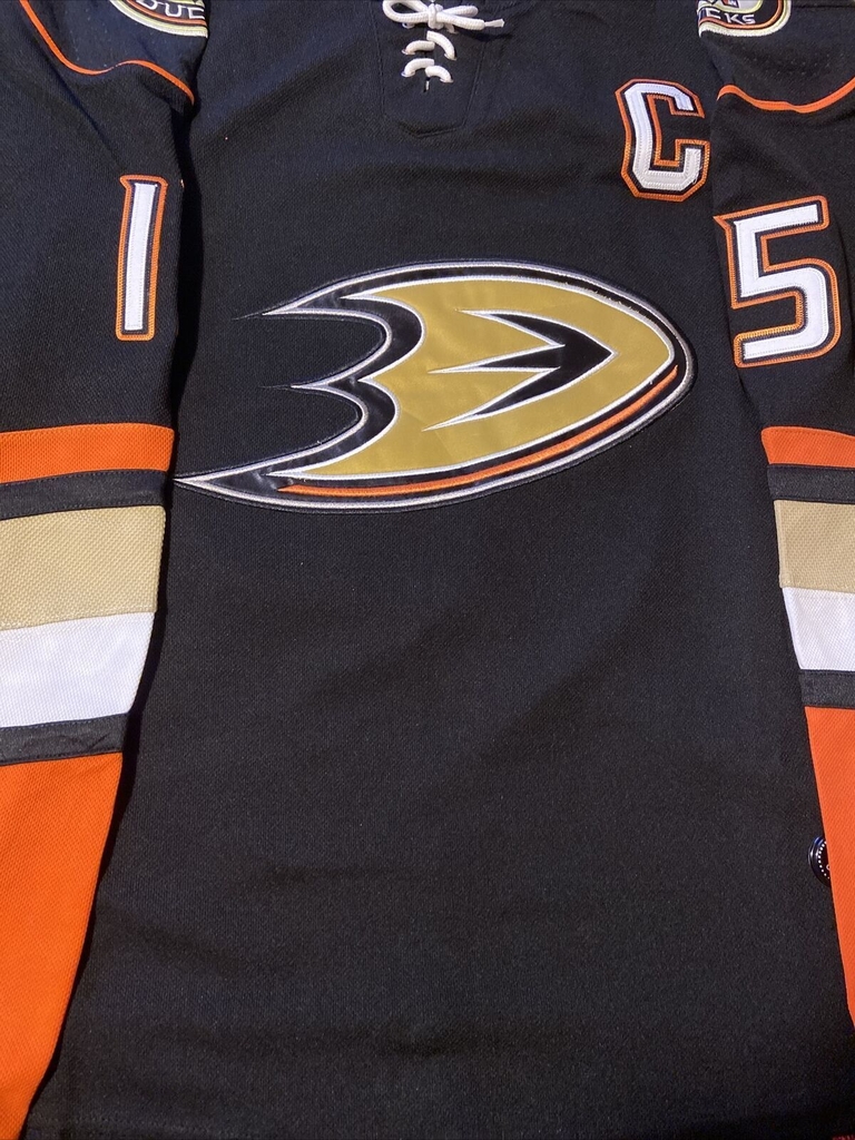 Ducks raise the No. 9 jersey of Paul Kariya at last – Orange County Register