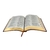 Bíblia Sagrada NTLH Letra Gigante Luxo Preta na internet