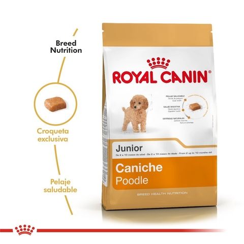 Royal Canin Perro Caniche Poodle Junior - PRONTOPET