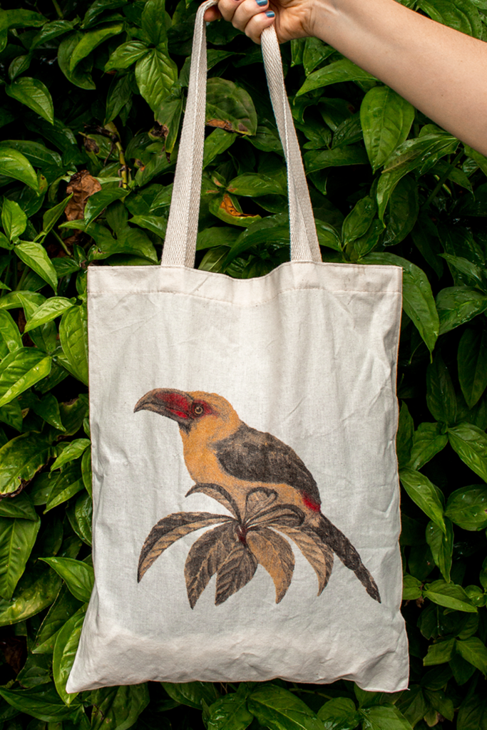 ecobolsa porto alegre