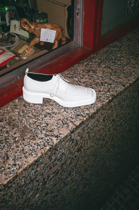 Zapatos Abotinados Modelo #22A