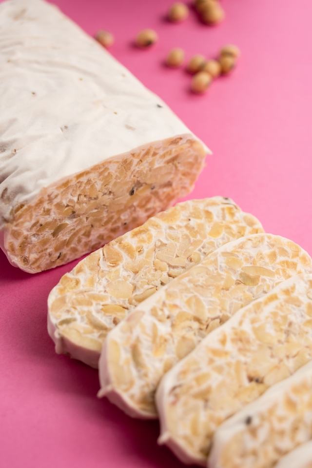 Tempeh de Soja Comprar en Tempeh Argentina