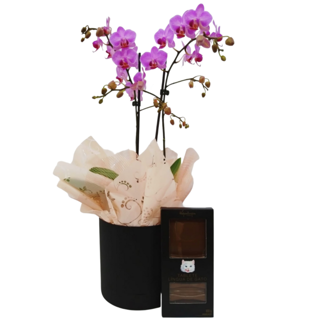 Orquidea lilás e kopenhagen