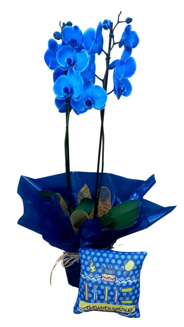 Orquídea Azul e Almofada - Guaru Flores Loja On Line