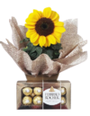 Mini Girassol e Ferrero