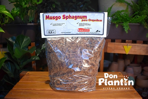 plato Resignación puerta Musgo Sphagnum - Comprar en Don Plantin