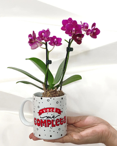 caneca com orquídeas