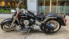 Alforja CLX Yamaha dragstar en internet