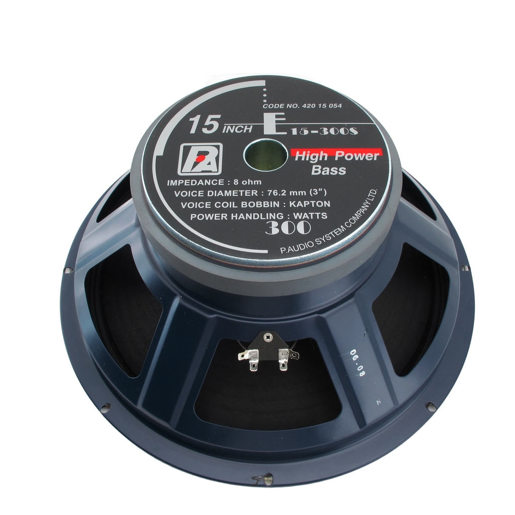 Bocina 12 Pulgadas Para Medios 300w Max. Kapton Kpw-12 - Bocinas -  PCdomino.com - Saltillo