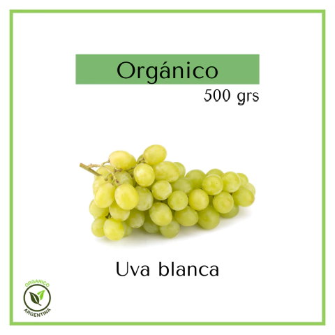 Uva blanca orgánica 500 grs