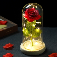 Cúpula Rosa Encantada com LED na internet