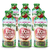 Jugo Listo Para Tomar Fruggina Manzana Pack X 6 botellas 250 cc