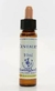 Floral Centaury - Healing Herbs