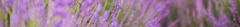 Banner da categoria Água de colônia
