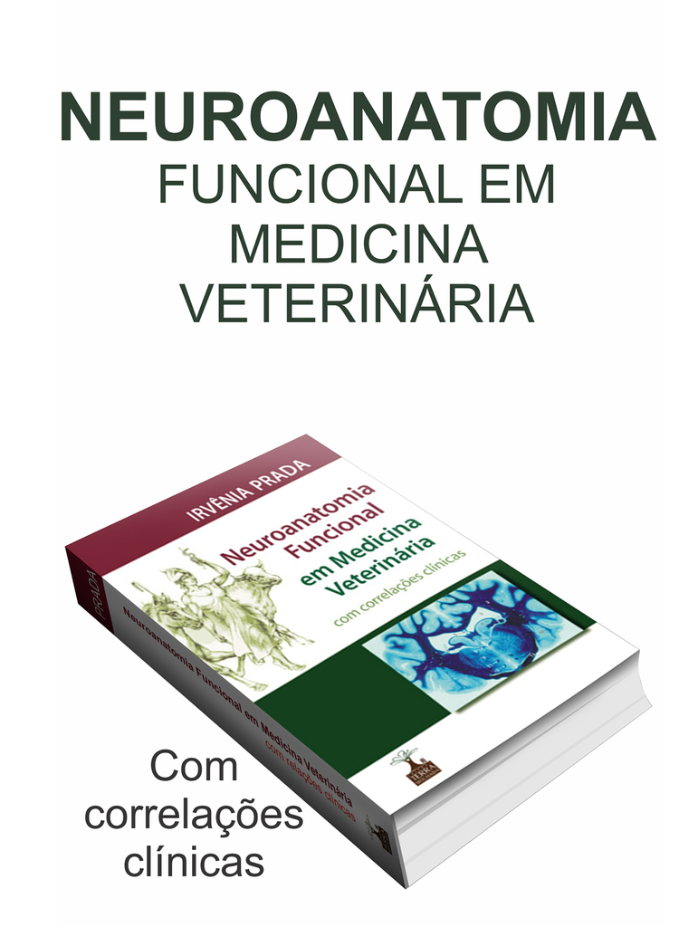 Neuroanatomia Funcional em Medicina Veterinária