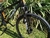 Bicicleta SARS BIGSHARK 1X12 DEORE en internet