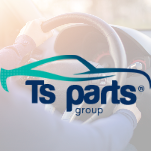 TS Parts Group Peças Automotivas