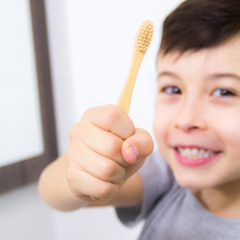 Escova Dental de Bambu Biodegradável Infantil – The Humble