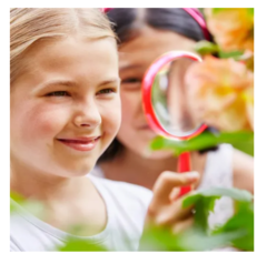 Lupa De Plástico Para Niños Jardines Estimulan La Curiosidad - tienda online