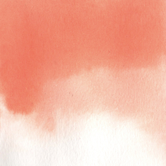 Laranja pastel (mamão) - aquarela de linha profissional