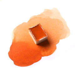 Laranja queimado (Carrot) - aquarela de linha profissional. na internet