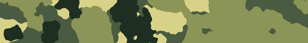 Decoración y desechables para fiesta temática Camuflaje