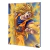16x21 Tapa Dura 48h “Dragon Ball”