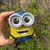 Mate Minion en internet