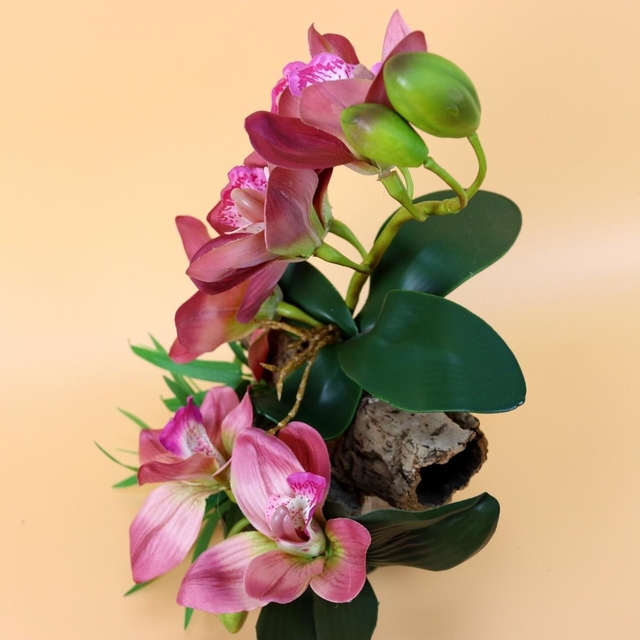 Arranjo de Orquídea Rosa em Madeira - Ghaia Flores
