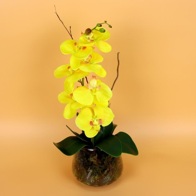 Arranjo Decorativo de Orquídea Amarela - Ghaia Flores