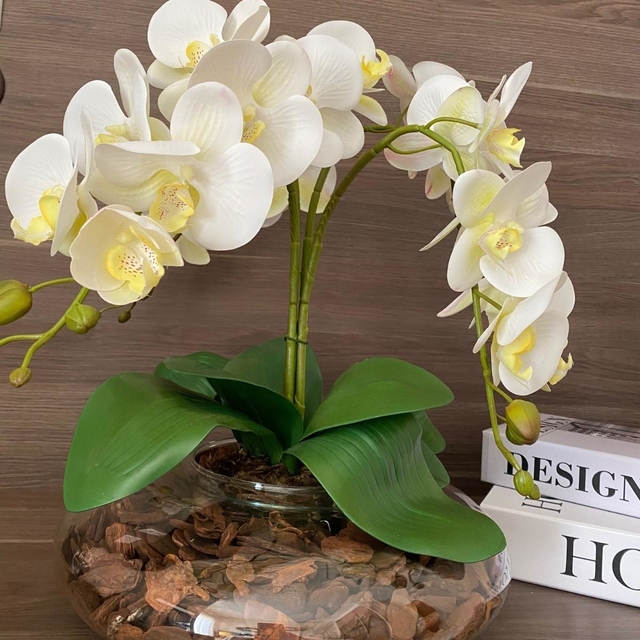 Arranjo Centro de Mesa com Orquídeas Branca