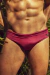 Hibiscus Ribbed Brief Cut on internet