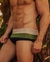 Sunga Classic Listras Nude e Verde - comprar online