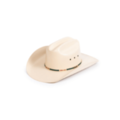 Chapéu Country Cowboy E Cowgirl Americano Mundial Premium
