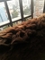 Pelego de Montaria Lã Natural Aprox. 0,80x1,10m Marrom - comprar online