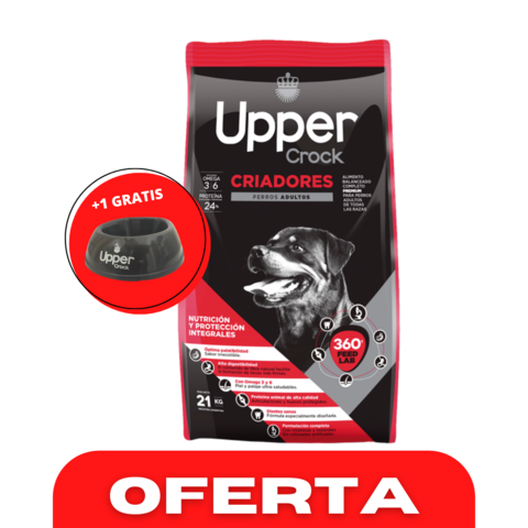 OFERTA! - Upper Crock Criadores + Comedero