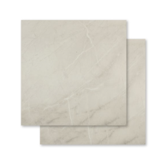 PAMESA ATR 120X120 PORC. GROTTO GRIS