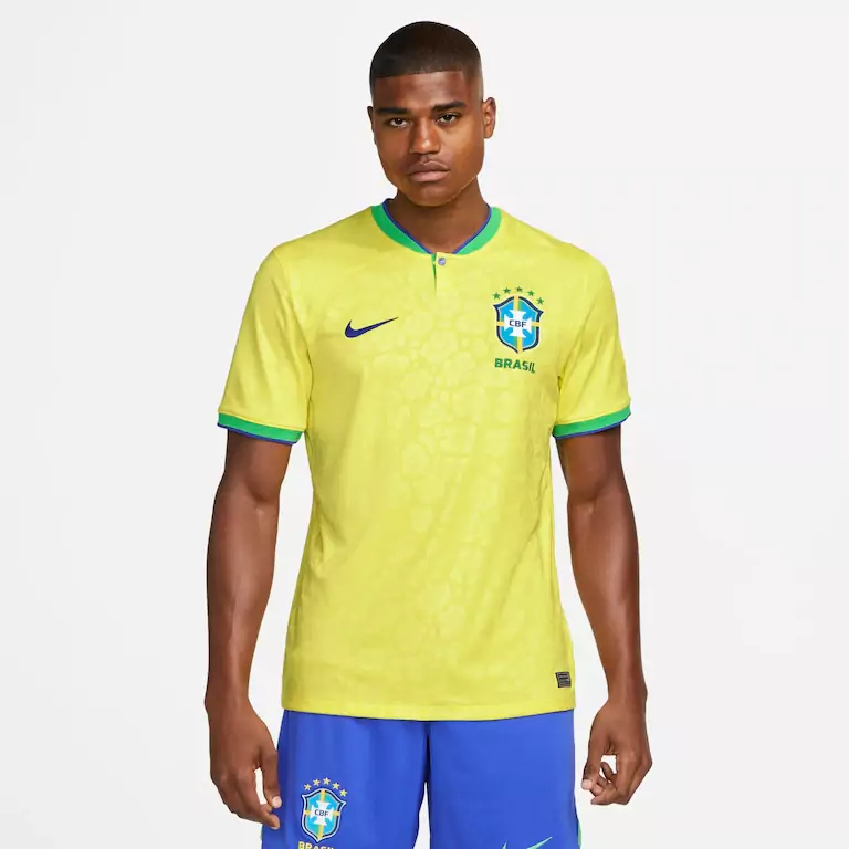 Camisa Nike Seleção Brasileira Pro - DANIKE STORE