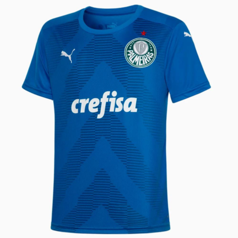 camisa palmeiras comemorativa masculina