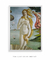 Quadro Decorativo Venus - comprar online