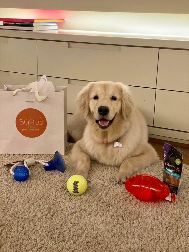 Kit Clifford Kits Barlô Pet Comfort