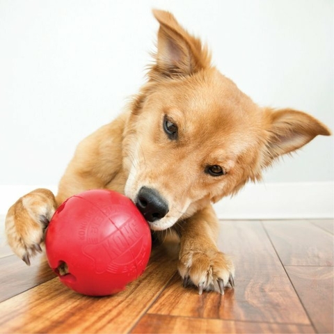 Tapete De Lamber Comer p/ Cães E Gatos Pet Games Labirinto P em