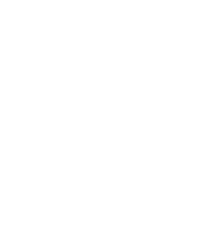 SnacPhone