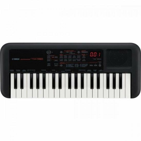 Teclado Musical Infantil Mini 44 Teclas Casio SA-77 Cinza - American  Musical e Magazine