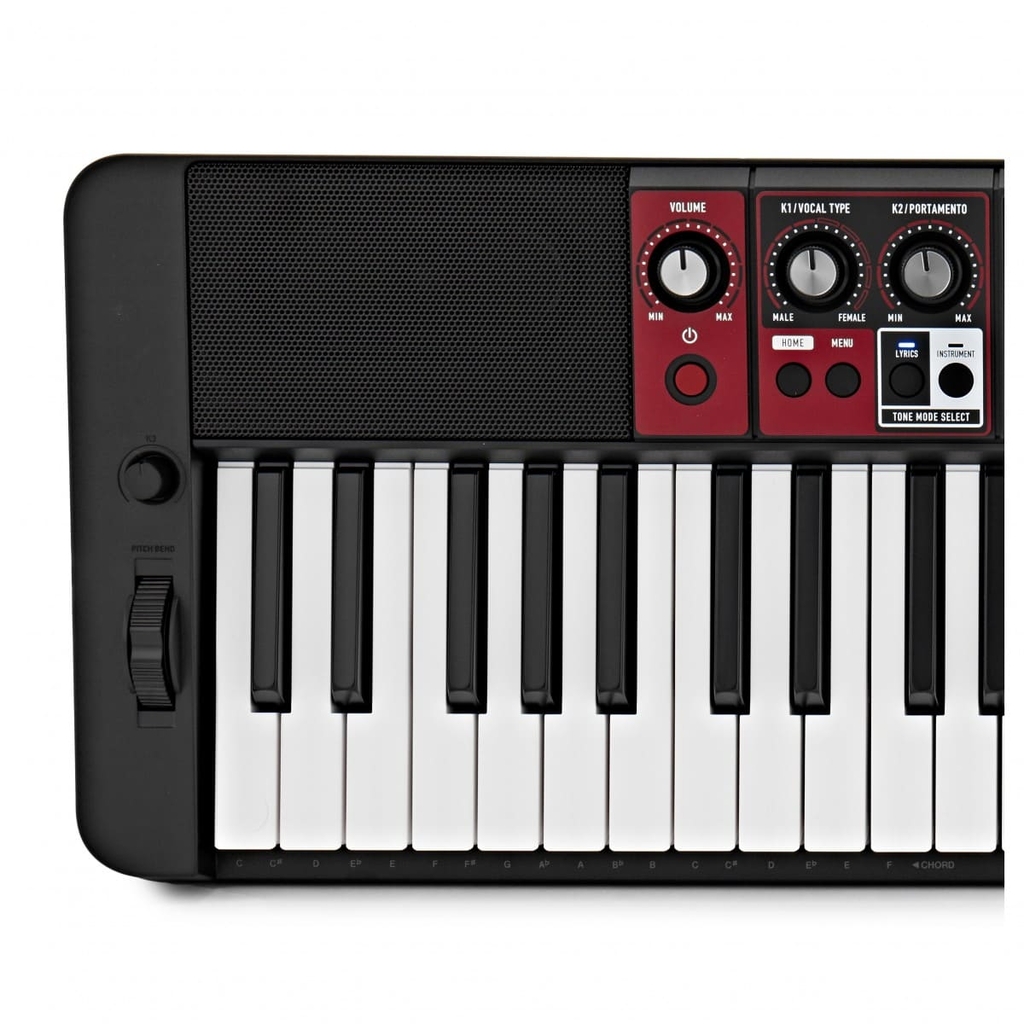 Teclado Musical Profissional 61 Teclas USB Suporte e Capa - O Acústico -  Referência em instrumentos musicais na internet